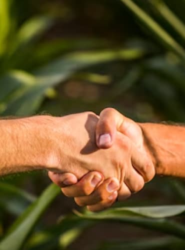 Aperto de maos